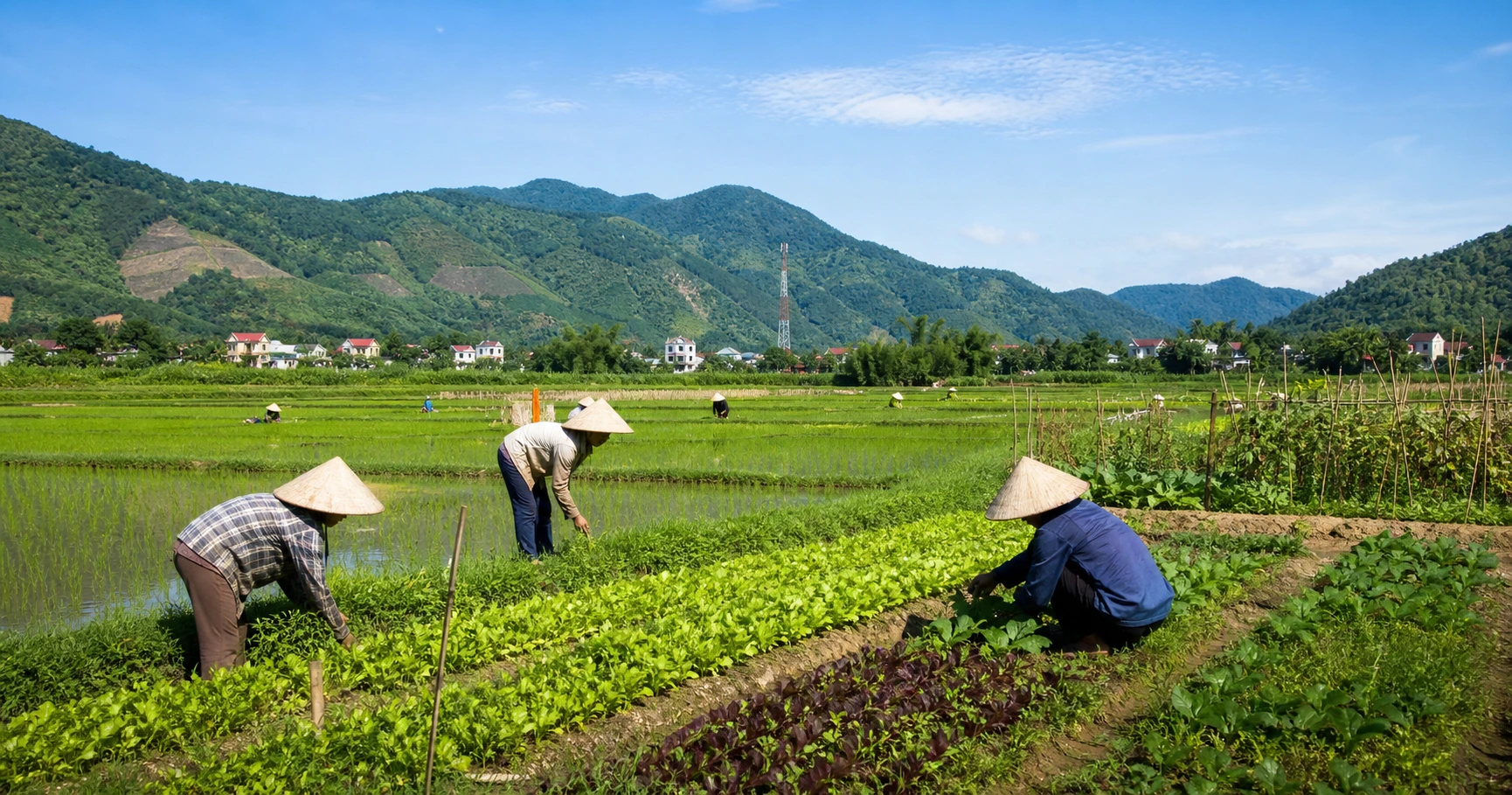 Dự Báo Thời Tiết Và Tình Hình Nông Nghiệp Vĩnh Phúc Hôm Nay - image 1 Dự Báo Thời Tiết Và Tình Hình Nông Nghiệp Vĩnh Phúc Hôm Nay - image 1
